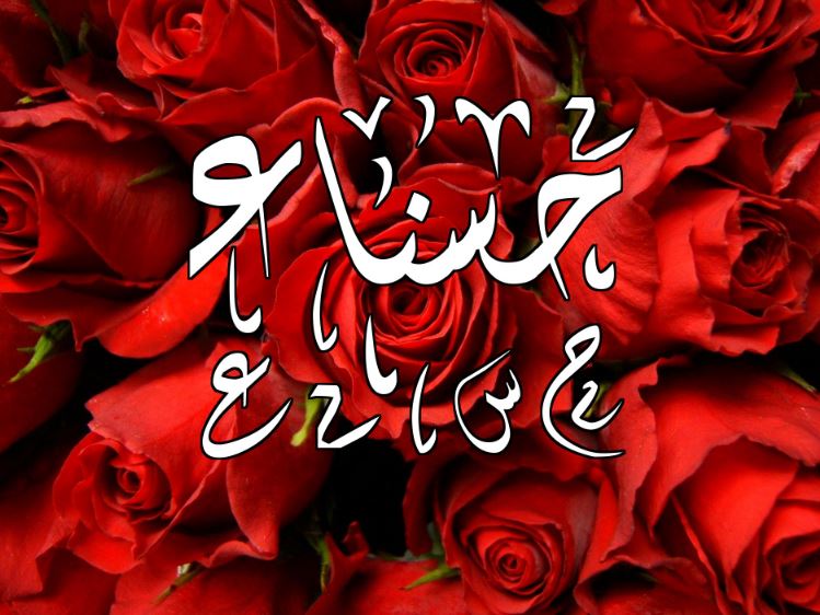 شعر باسم حسناء