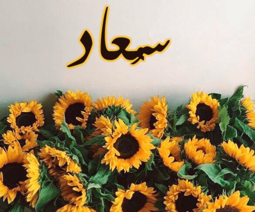 شعر باسم سعاد