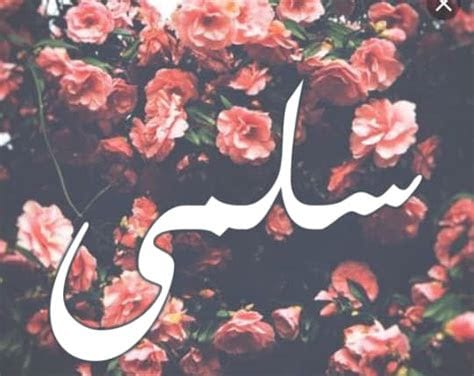 شعر باسم سلمى