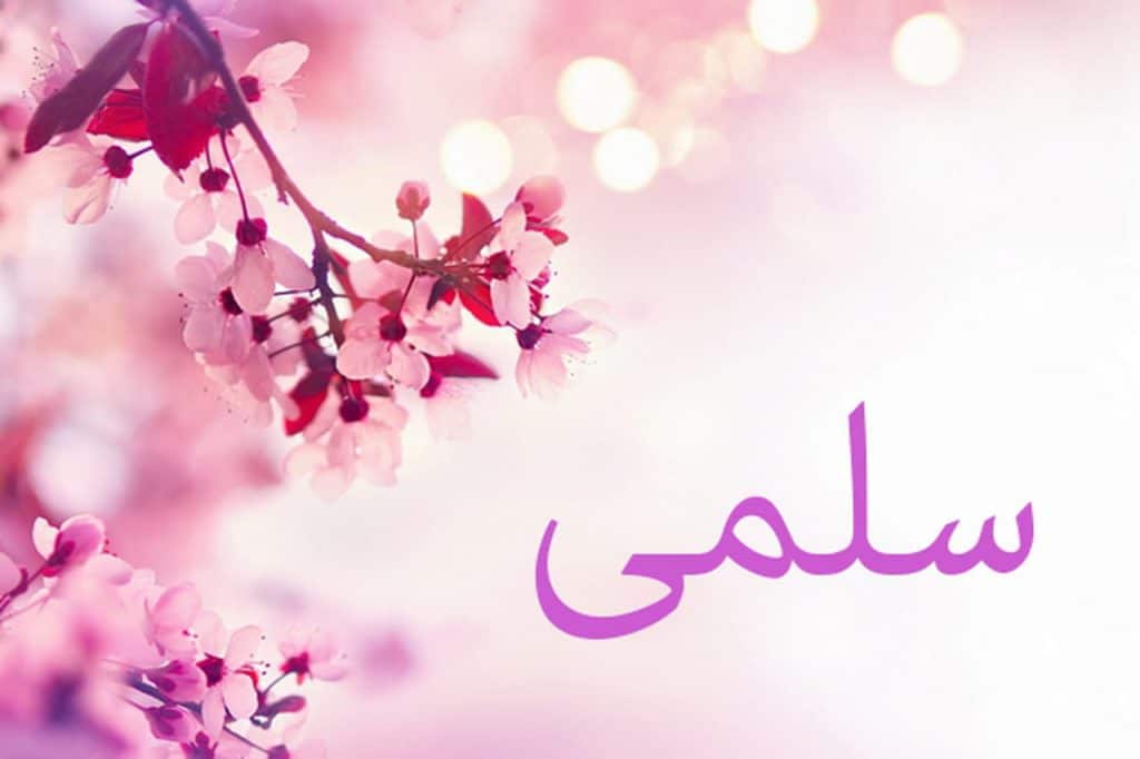 شعر باسم سلمى
