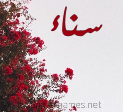 شعر باسم سناء