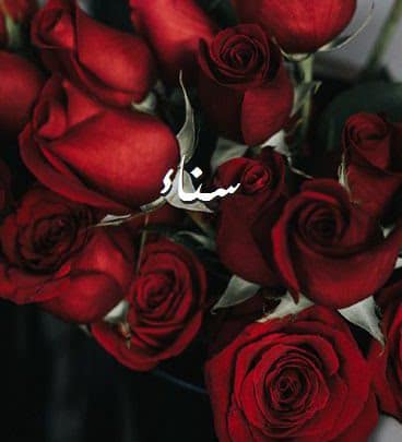 شعر باسم سناء