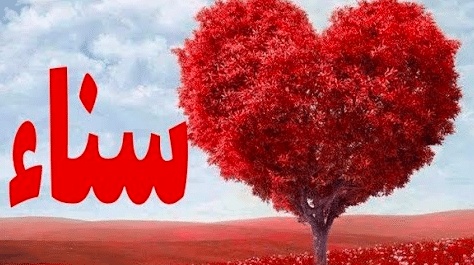 شعر باسم سناء