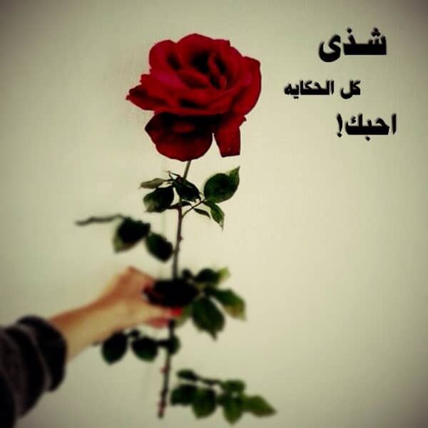 شعر باسم شذى