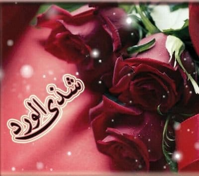 شعر باسم شذى
