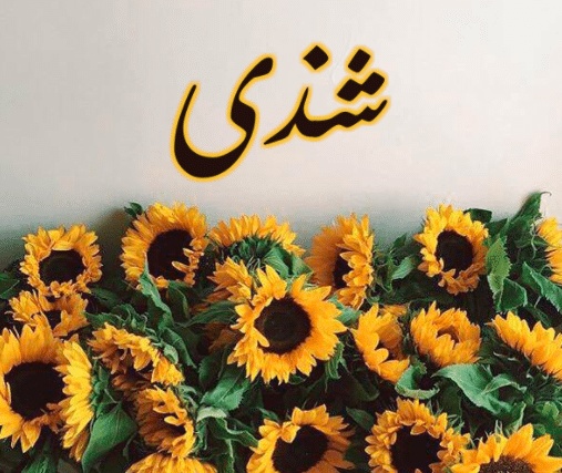 شعر باسم شذى