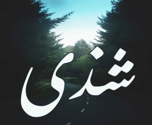 شعر باسم شذى