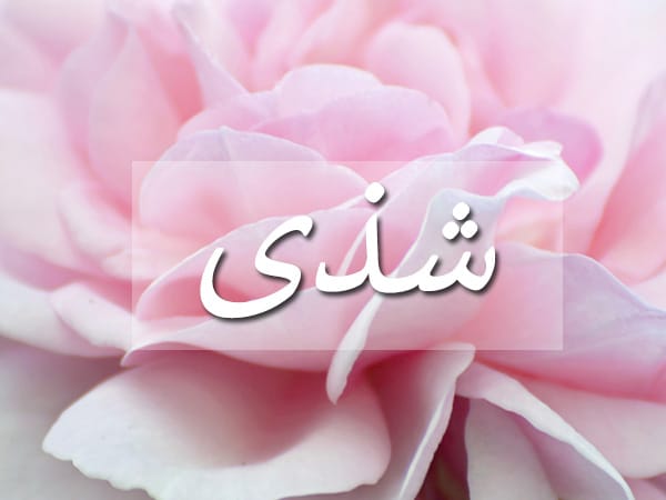 شعر باسم شذى