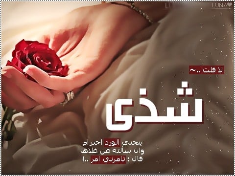 شعر باسم شذى