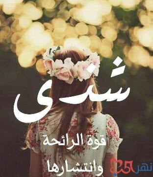 شعر باسم شذى