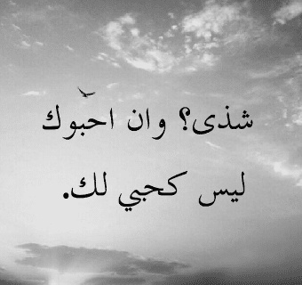 شعر باسم شذى