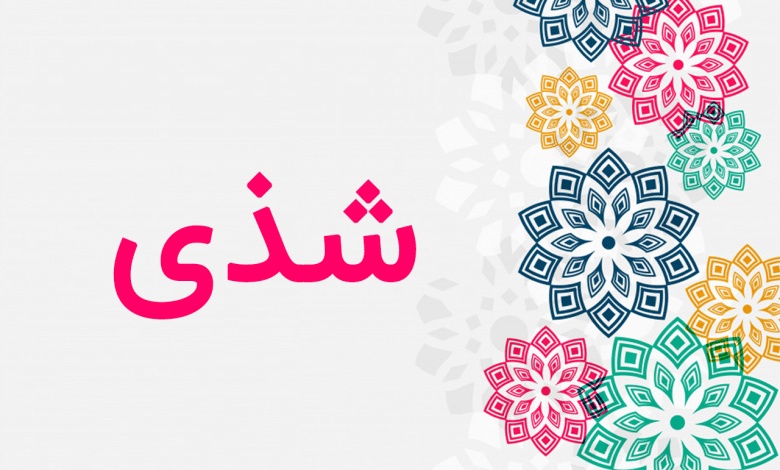 شعر باسم شذى