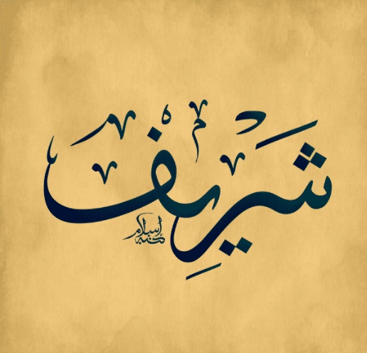 شعر باسم شريف