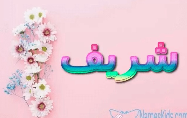 شعر باسم شريف