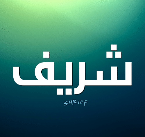 شعر باسم شريف
