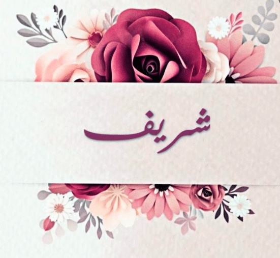 شعر باسم شريف
