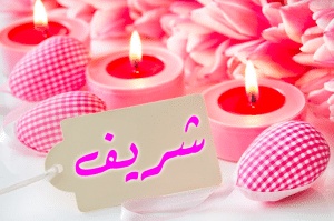 شعر باسم شريف