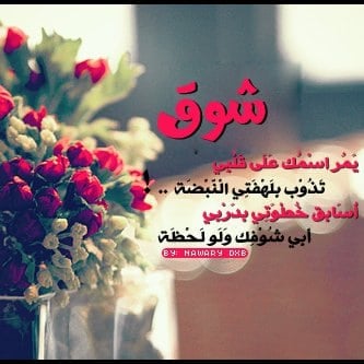 شعر باسم شوق