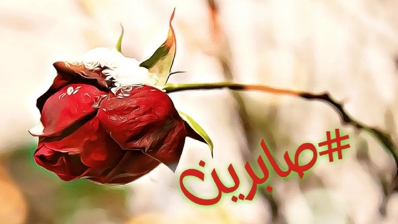 صورة شعر باسم صابرين