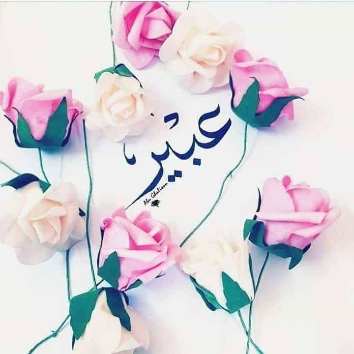 شعر باسم عبير