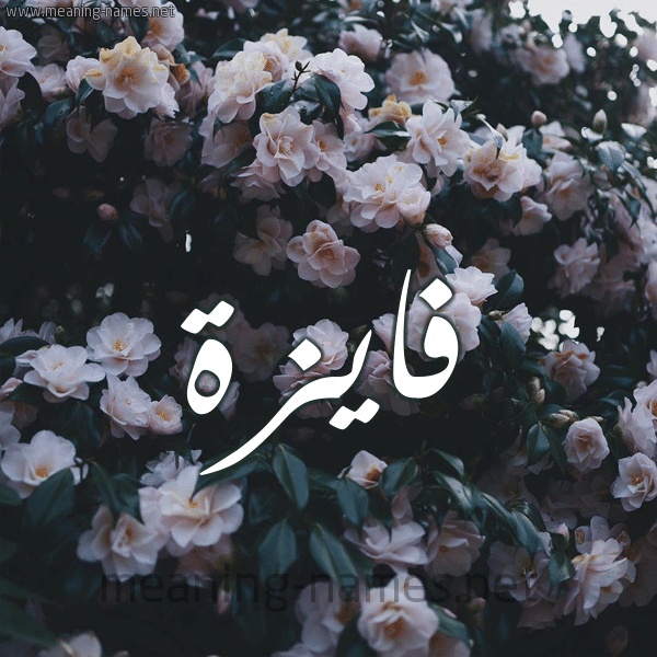 شعر باسم فايزة