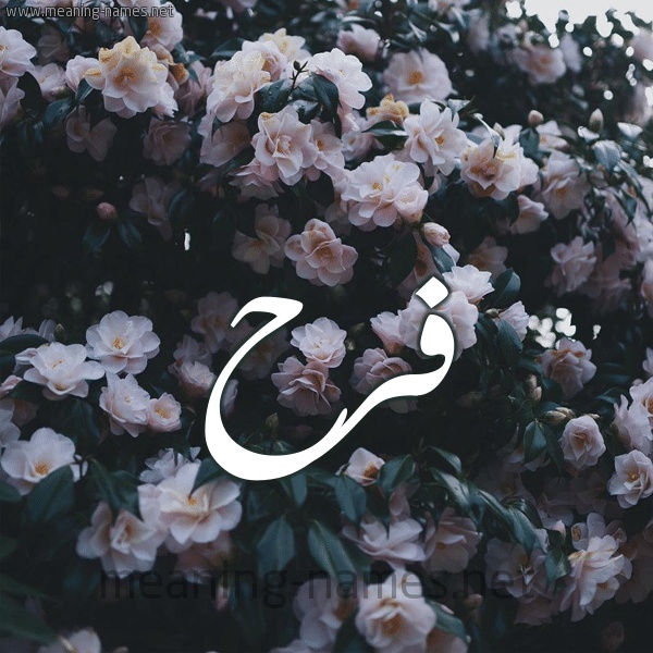 شعر باسم فرح