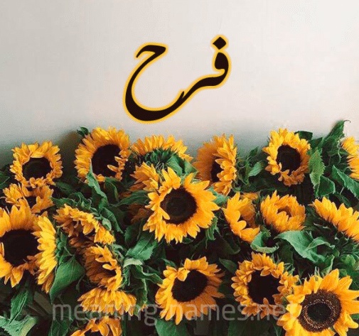 شعر باسم فرح