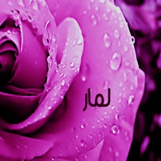 شعر باسم لمار