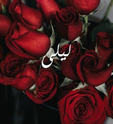 شعر باسم ليلى