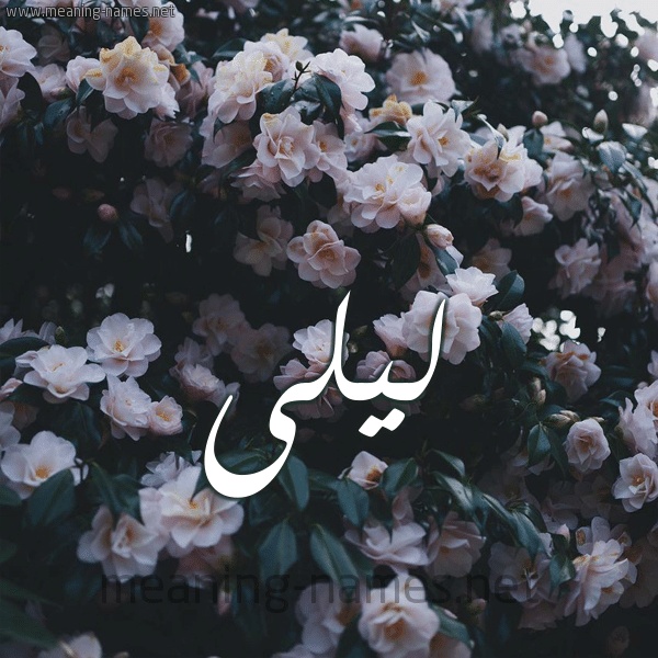 شعر باسم ليلى