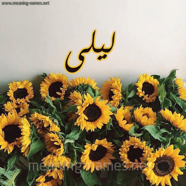 شعر باسم ليلى