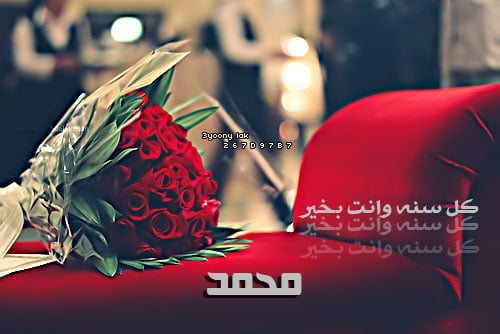 شعر باسم محمد