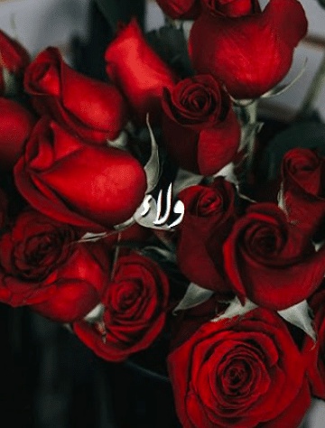 شعر باسم ولاء
