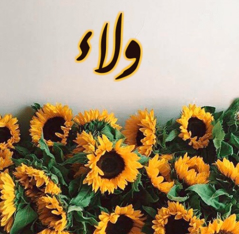 شعر باسم ولاء