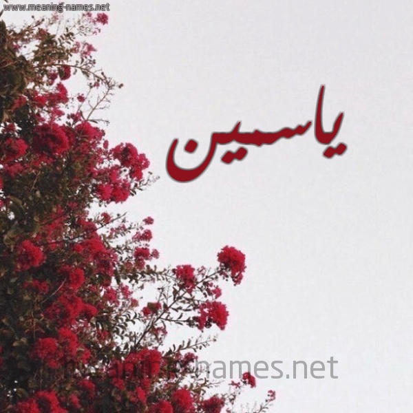 شعر باسم ياسمين