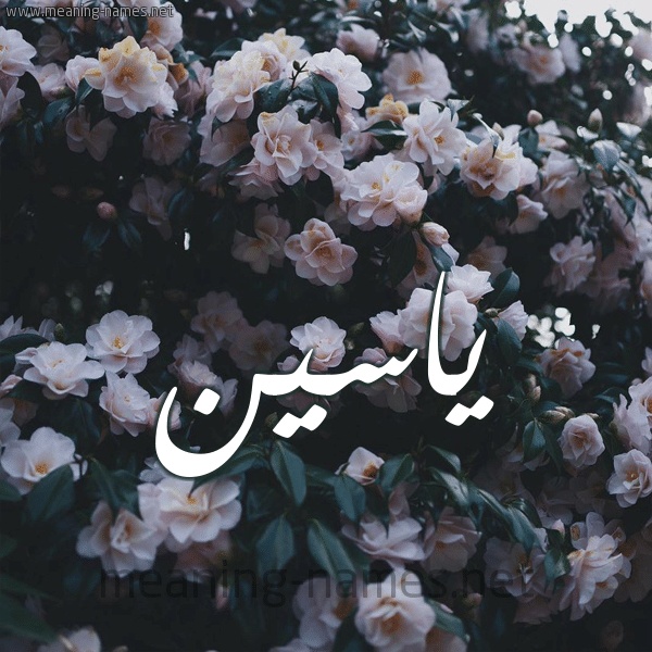 شعر باسم ياسمين