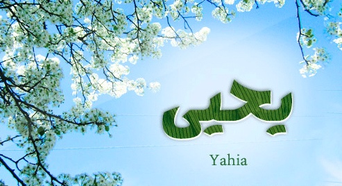 شعر باسم يحيى