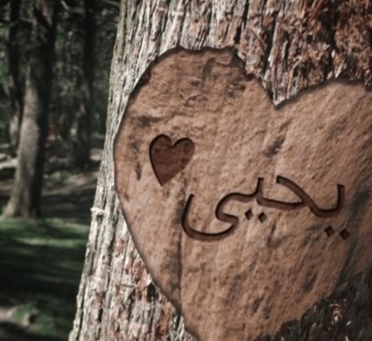 شعر باسم يحيى
