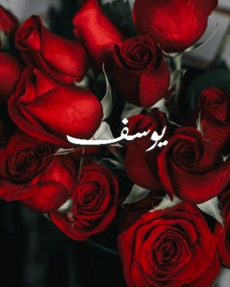 شعر باسم يوسف