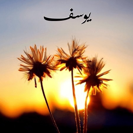 شعر باسم يوسف