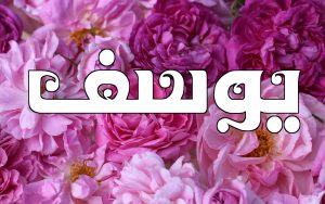 شعر باسم يوسف