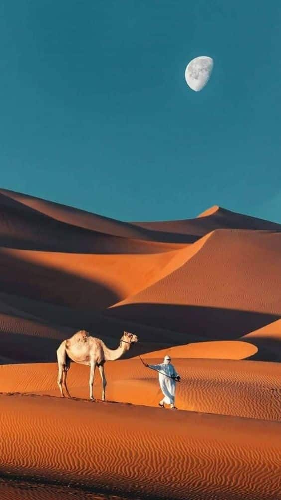 شعر بدوي عن الصحراء