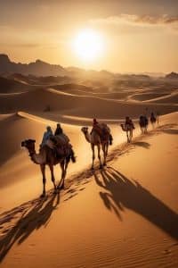 شعر بدوي عن الصحراء