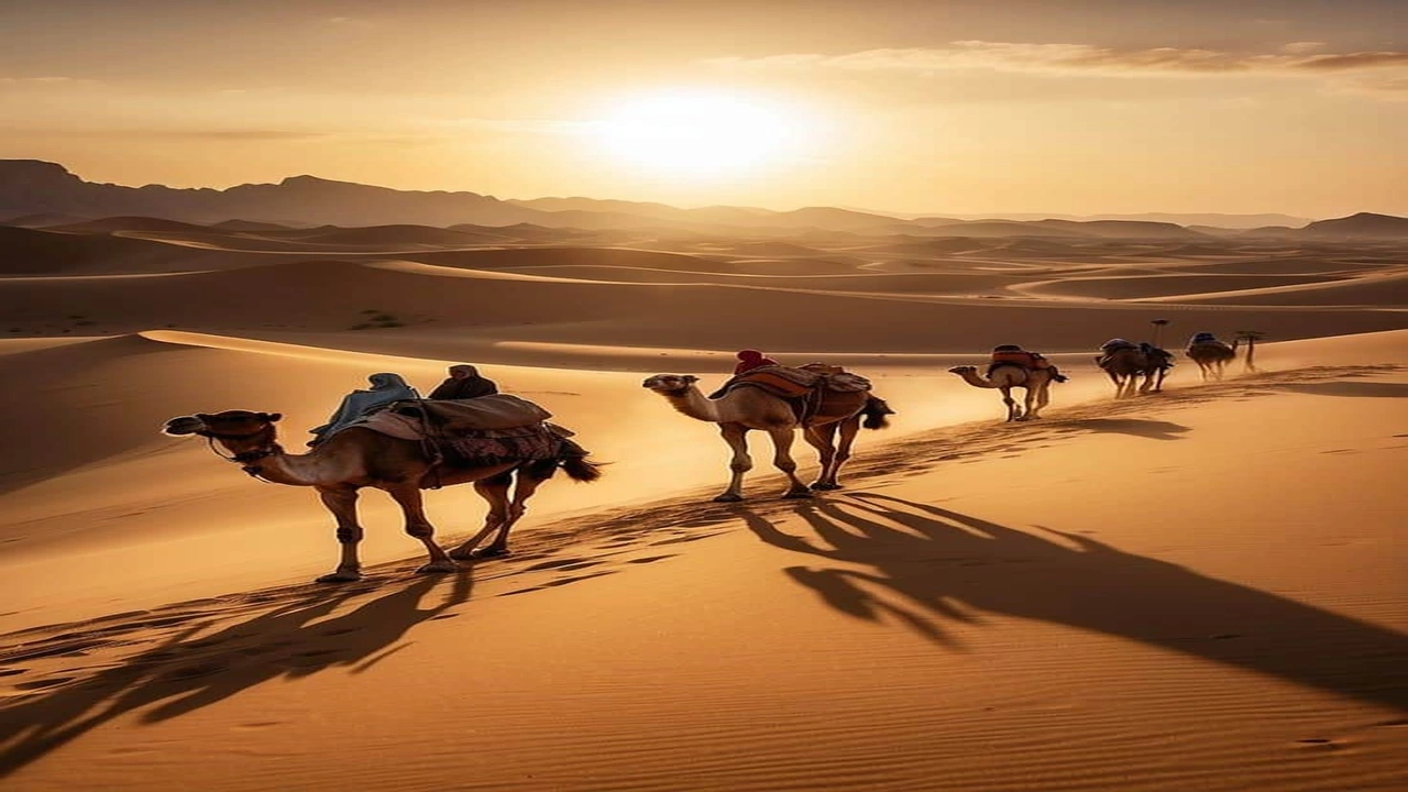 صورة شعر بدوي عن الصحراء