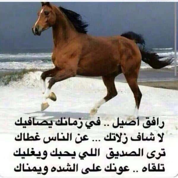شعر سعودي قوي