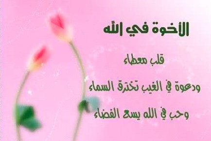 شعر عن الأخ
