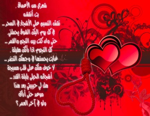 شعر عن الحب بجنون
