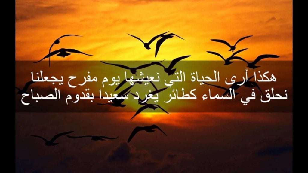 شعر عن الحياة والامل