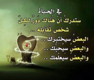 شعر عن الحياة