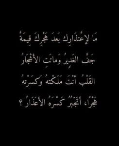 شعر عن الشوق والغياب بدوي